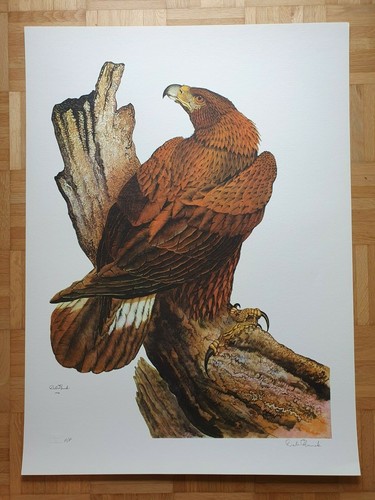 Dale hauck 1972 - dale, signed