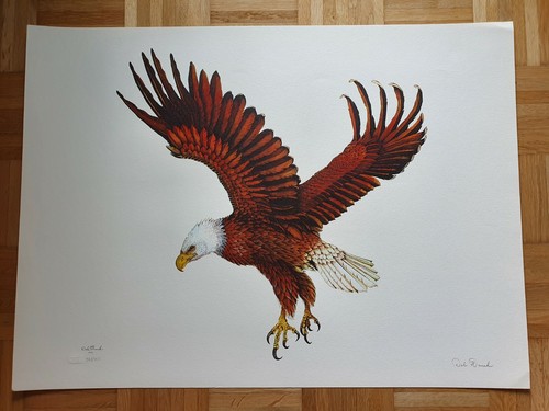 Dale hauck 1972 lithograph - dale,