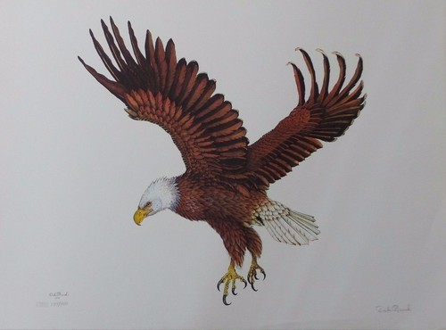 Dale hauck bald eagle - dale, "bald